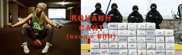 крисы Дмитриев