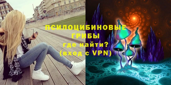 дмт Дмитров