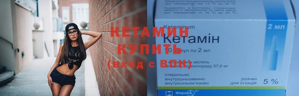 крисы Дмитриев