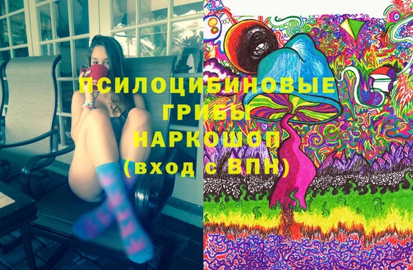 крисы Дмитриев