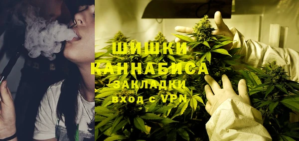 дмт Дмитров