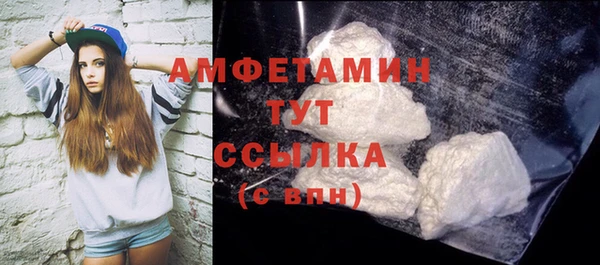 дмт Дмитров