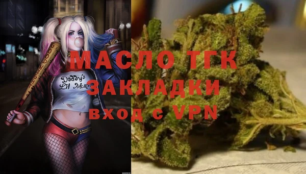 дмт Дмитров