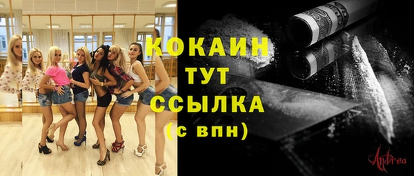 крисы Дмитриев