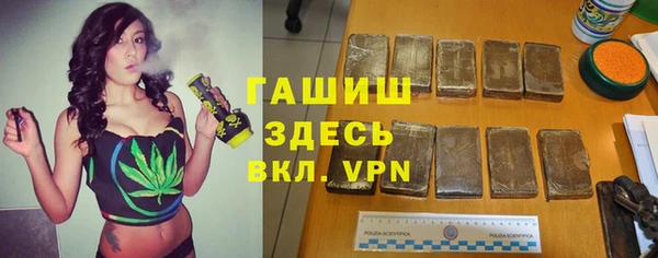 дмт Дмитров